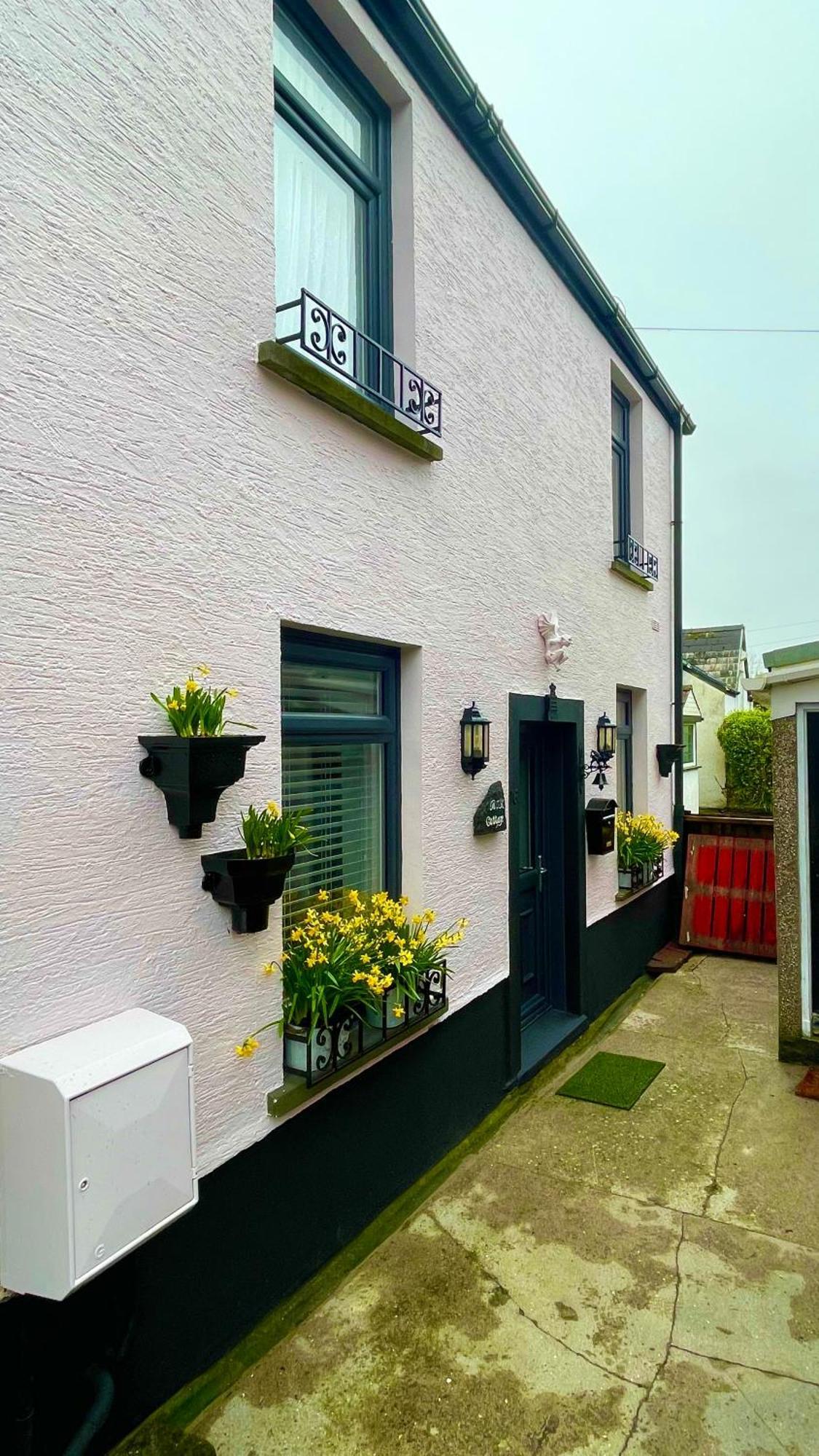 Beautiful Mumbles/Gower Cottage Swansea Eksteriør billede